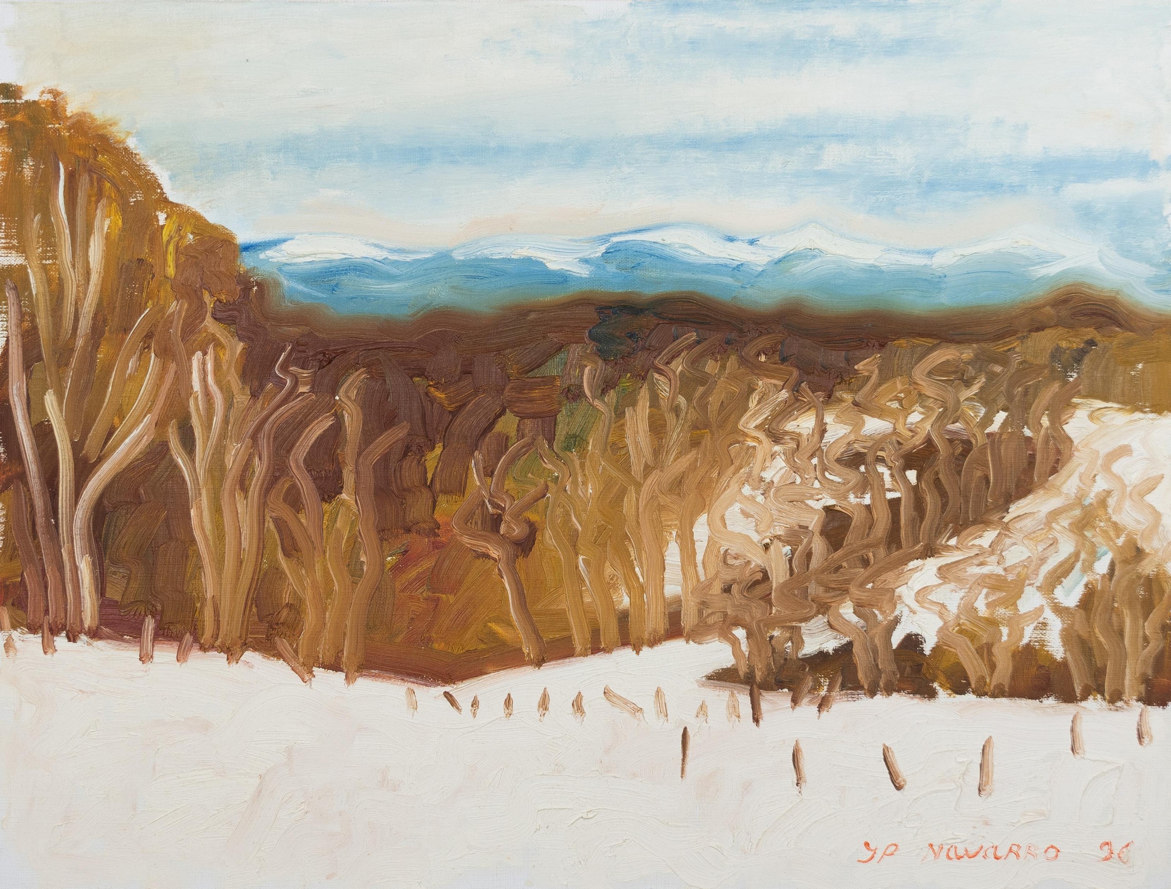 Paysage hivernal avec champ enneigé au premier plan, arbres sans feuilles et collines bleutées à l’horizon.