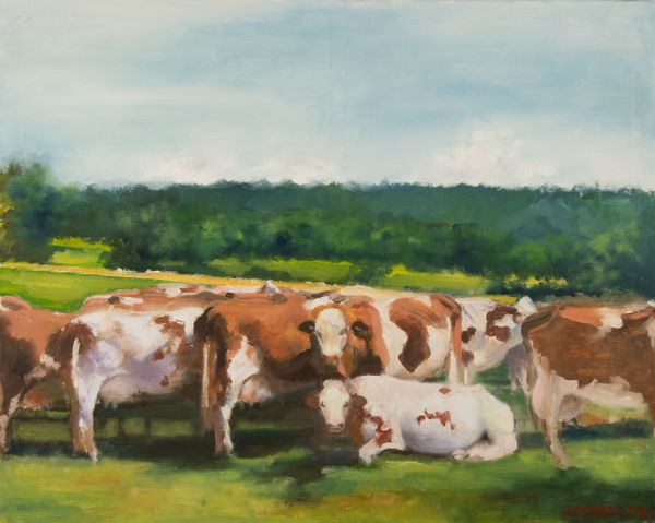 Groupe de vaches dans un pré verdoyant sous un ciel doux