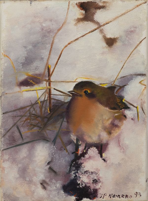 Rouge-gorge posé sur sol enneigé avec branches et herbes sèches