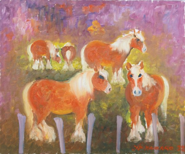 Plusieurs chevaux roux et blancs dans une prairie avec des poteaux au premier plan