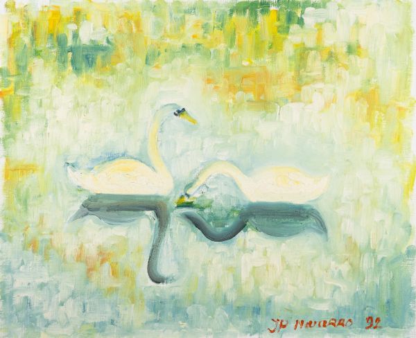 Deux cygnes sur une surface d'eau entourés de couleur douce.