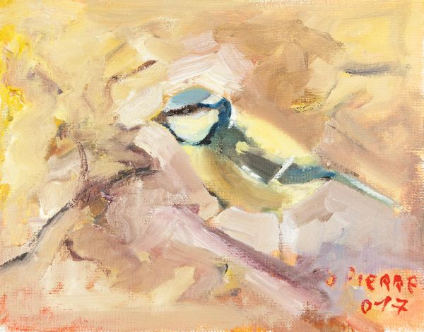Un oiseau aux teintes bleues et vertes sur un fond chaud.