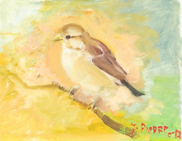 Moineau sur une branche avec un fond aux couleurs douces.