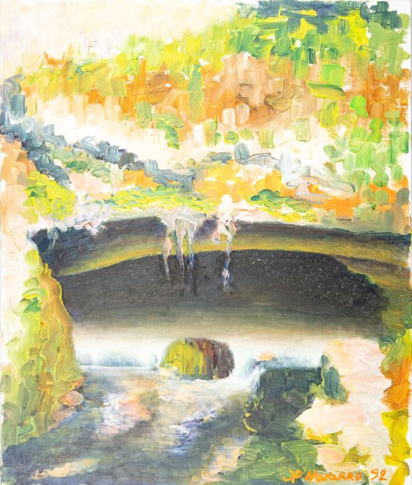 Une source d'eau entourée de végétation verte.